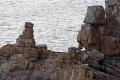 0059Pointe de Dinan